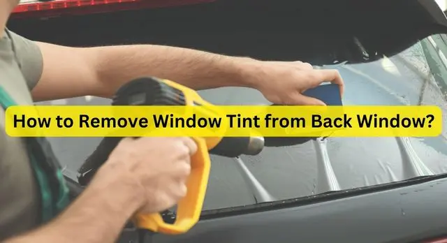 How to Remove Window Tint from Back Window